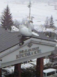 木村友泉のOliveログ-池の平ホテル白鳥