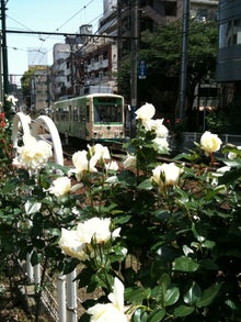 $木村友泉のオリーブログ