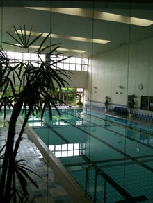 木村友泉のオリーブログ-プール