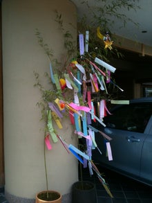 木村友泉のオリーブログ-八兵衛04