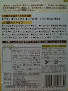 木村友泉のオリーブログ-薬膳カレー01