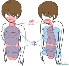 $木村友泉のゆるゆるリンパケアブログ-腔イラスト