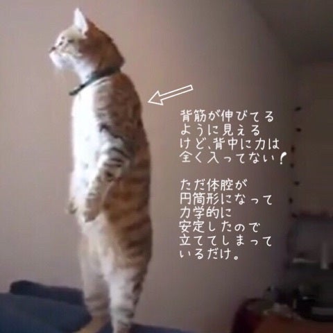 {B8375998-608A-4C8A-AB43-BEDCCC7DCF67:01}