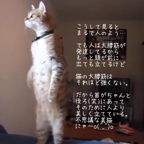 {7BF9BD9E-6EE6-47EE-A9A5-0E4C9C082298:01}