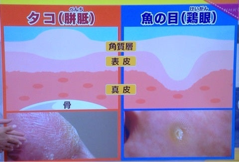 {712533E5-4457-4F0E-AD08-A92916D9F077:01}