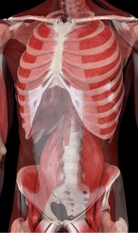 {1B7D4FDF-A267-4086-A1C8-FD9617F1B40E:01}