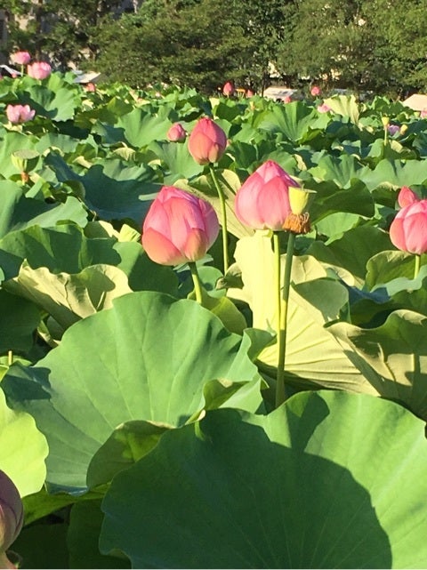 {F07F1619-17A9-4ECF-8448-56B34586C14F}