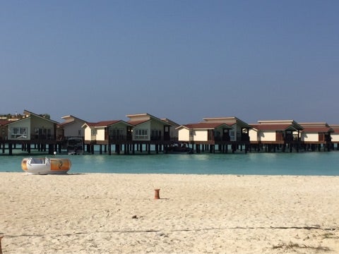 {1049F339-F07D-469E-8BD0-43F67136A280}