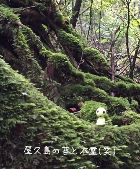 {7D0F0FD8-18DF-4C20-B6FE-20857C9E53E3}