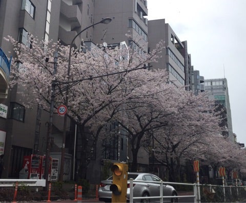 {11F84ED3-B909-4F4C-BB13-B0F35A53719C}