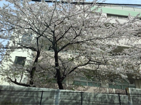 {D87AE2CC-645F-4603-B127-3EB879C2E4D9}