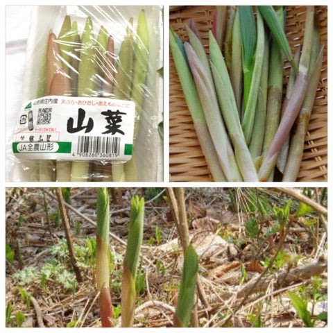 {7A652671-63C0-4DF3-B88E-F77ABD7C265F}