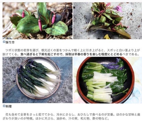 {18C689BF-CC97-45FD-B524-0A1AFA09DBD1}